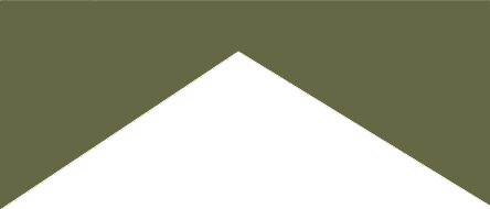 Ribbon Image